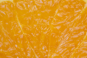 Fruit cell examination, Laboratory investigation of citrus fruit internal details, Indepth laboratory research analyzing cellular patterns and juice allocation in citrus fruits