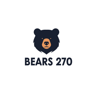 The fierce bear logo with the words Bears 270 is a strong design.