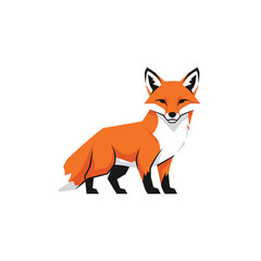 Obraz premium Vibrant orange fox standing proudly, showcasing its beautiful fur and alert posture.