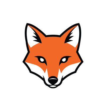 Vibrant fox head illustration with sharp features and captivating gaze, perfect for design.