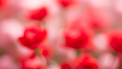Abstract Red and Pink Roses Bokeh Background, Soft Blurred Floral Texture for Romantic Designs and Greeting Cards