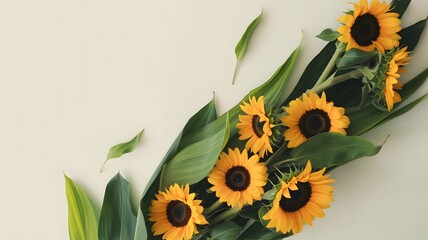 Bright sunflowers on a white background