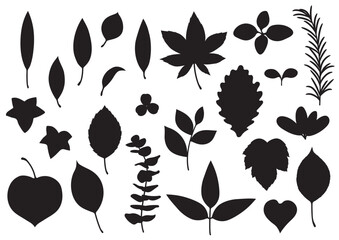 シンプルな葉っぱセット