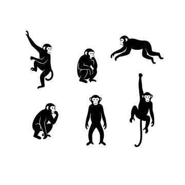 silhouette of a monkey set