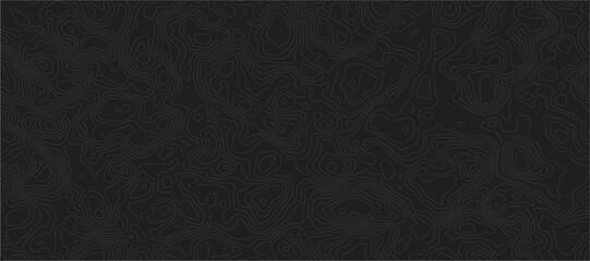 Topographic Map Pattern Abstract Geographical Featuring Elegant Elevation Contour Lines, Organic Terrain Textures, and Minimalist Relief Mapping for Modern Design.