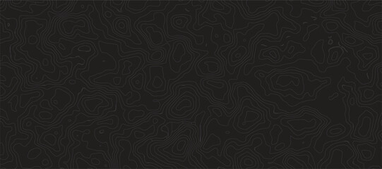 Topographic Map Pattern Abstract Geographical Featuring Elegant Elevation Contour Lines, Organic Terrain Textures, and Minimalist Relief Mapping for Modern Design.