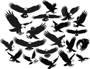 Collection of black eagle silhouettes in flight