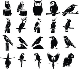 Collection of various bird silhouettes including owls and other species