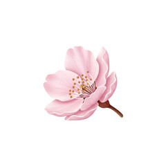Naklejka premium A serene blossom in full bloom viewed from a close-up perspective in a natural environment