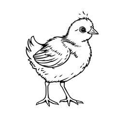 Fototapeta premium A black and white illustration of a small chick standing on a plain background