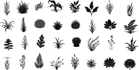 Collection of various plant species in black and white