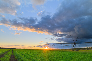 A vibrant sunset unfolds over a lush green field with an irrigation system in place