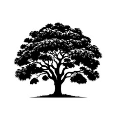 Fototapeta premium Mango Tree Vector Illustration with Lush Tropical Green Foliage