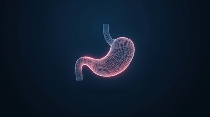 Abstract human stomach illustration