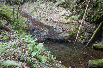 Mountain stream, moss-covered rocks, flowing river water