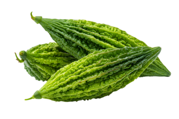 Fresh bitter melon on white background