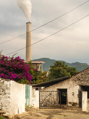 General overview of environmental pollution in forest settlement area and thermal power plant.