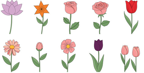 Elegant collection of long stemmed flowers including roses tulips lilies and daisies for floral arrangements wedding decorations spring gardens and botanical vector design.