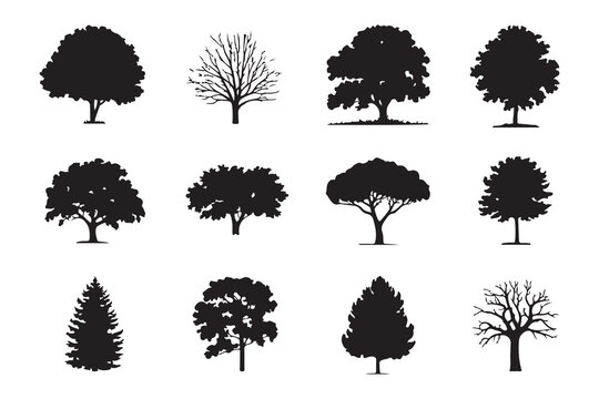 Collection of twelve different tree silhouettes vector illustrations showing various species including deciduous coniferous and bare winter trees