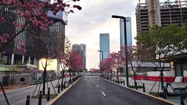 shen zhen city buildings