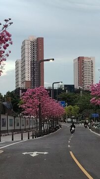 shen zhen city buildings