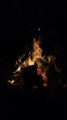 Burning Firewood Flames in Dark Background, Campfire Flames with Glowing Embers at Night, Dramatic Fire Flames and Burning Wood in Darkness