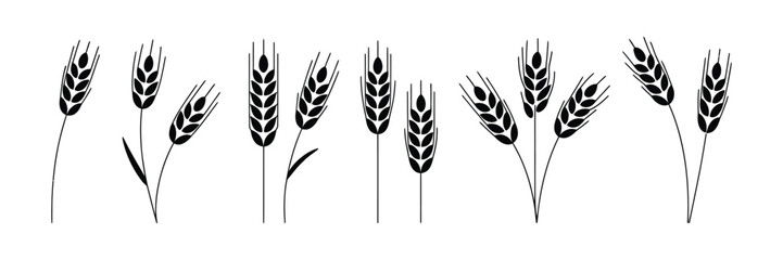 Wheat Icon with grey cereals icon set including rice, corn, oats, vector farm wheat ears, gluten free symbol, wheat logo, bakery icon, spike wheat, and bread grain illustration.