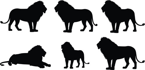 Six Black Silhouettes of Lions in Various Poses on White Background animal wildlife