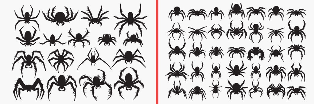 spider silhouettes vector, spider clipart, arachnid svg, creepy insect illustration, halloween spider graphics, black spider silhouettes, horror vector art, spider shape design, spider collection, spi