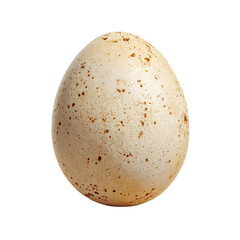 A close-up view of a single speckled bird egg, showcasing its unique brown spots and textured shell on a plain dark background