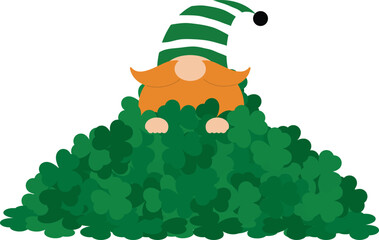 Lucky Gnome Peeking from a Pile of Green Shamrocks