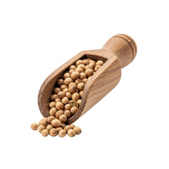 Coriander seeds in a wooden scoop