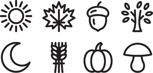 Autumn harvest and thanksgiving season line icons set including sun maple leaf acorn and pumpkin outline collection © MC Creative