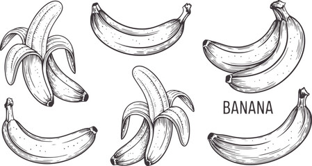 Black and line of peeled and whole bananas fruit tropical © Parvej