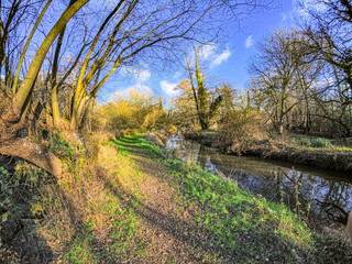 Stanford Brook, Fox Corner Wildlife Park. Pirbright Guildford, Surrey UK