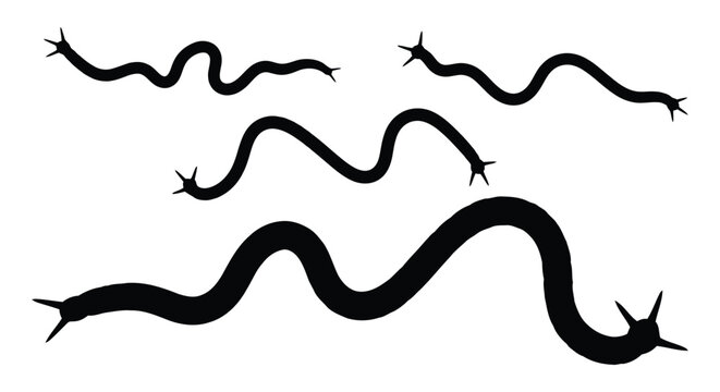 Collection of black silhouettes of worms or snakes on a white background