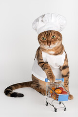 A cat chef with a cart of groceries