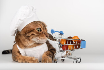 A cat chef with a cart of groceries