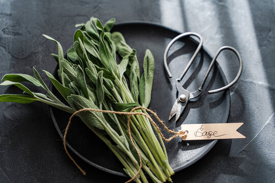 Sage herb in the kitchen interior