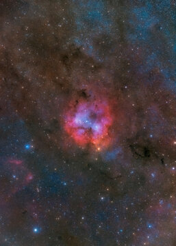 Night Sky with Elephant Trunk Nebula