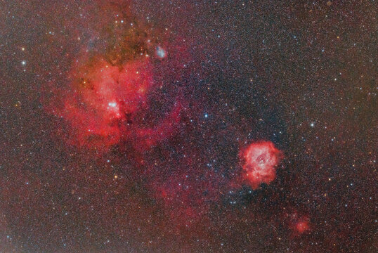 Rosette Nebula and Christmas Tree Night Sky
