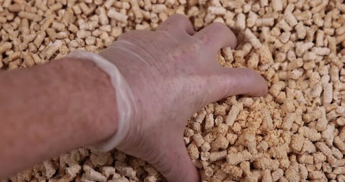 wood pellets from pine sawdust after getting on them with a large amount of water, the wood pallets got wet and crumbled into sawdust, some retained their shape