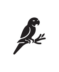 Fototapeta premium Monk Parakeet (Quaker) Sitting