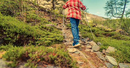 Rear view of a child using walking poles while trekking uphill on a rugged path. The scene essence of outdoor adventure and healthy lifestyle in a natural environment.