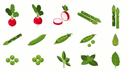 Collection of fresh green vegetables and herbs, including radishes, asparagus, peas, and mint leaves, isolated on white background.