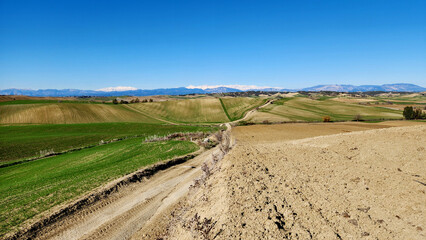 Panoramic view of rolling green and plowed fields with distant snow-capped mountains in Mediterranean basin in winter