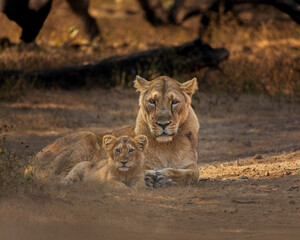 Maa and Baby © ravikiran