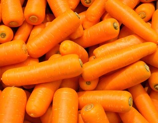 Close-up view of a pile of freshly harvested, bright orange root vegetables