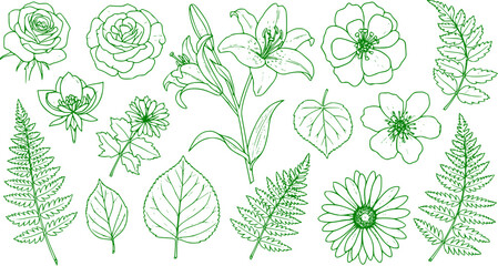 Set of detailed various flowers and foliage, intricate details and delicate forms. Hand drawn vector illustration with elegant botanical elements for invitation, save the date card