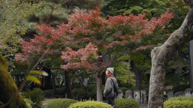 Woman strolling through japanese garden in autumn